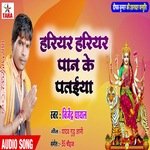 Hariyar hariyar paan ke pataiya