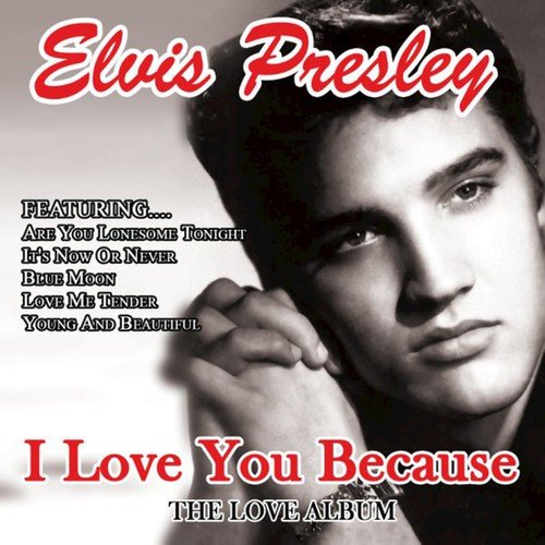 Have I Told You Lately That I Love You? Lyrics - Elvis Presley - Only on  JioSaavn