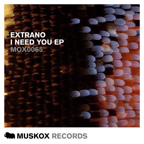 I Need You EP_poster_image