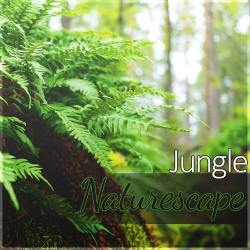 Jungle Naturescape - Sound Therapy Music for Relaxation Meditation with Sounds of Nature, Music for Healing Through Sound and Touch, Music for Yoga & Massage