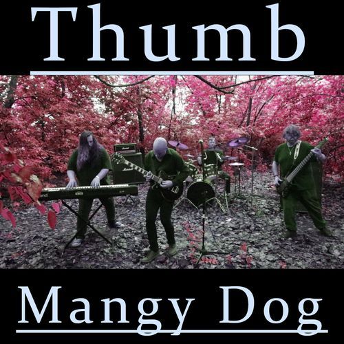 Mangy Dog