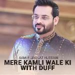 Mann Nachat Hai Mann