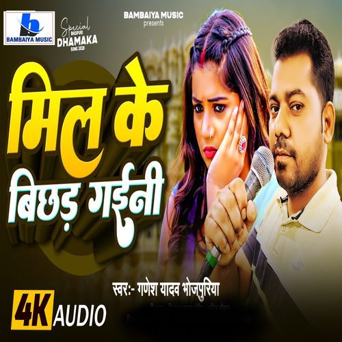 Mil Ke Bichhad Gaini