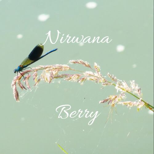 Nirwana Berry