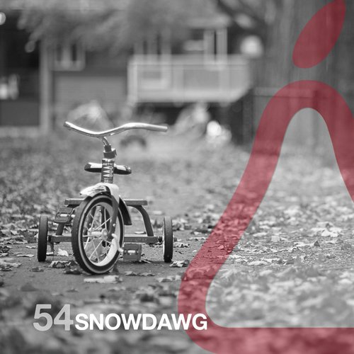 Snowdawg (Nonyas Remix) cover art