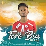 Tere Bin Ik Pal