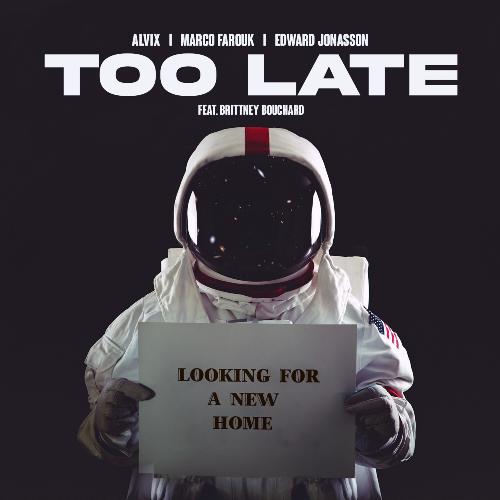 Too Late_poster_image