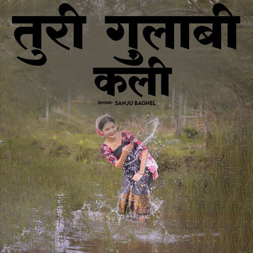 Turi Gulabi Kali_poster_image