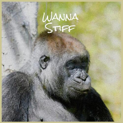 Wanna Stiff cover art