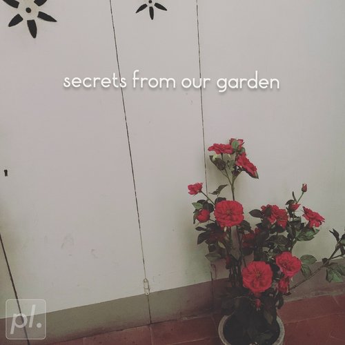 secrets from our garden
