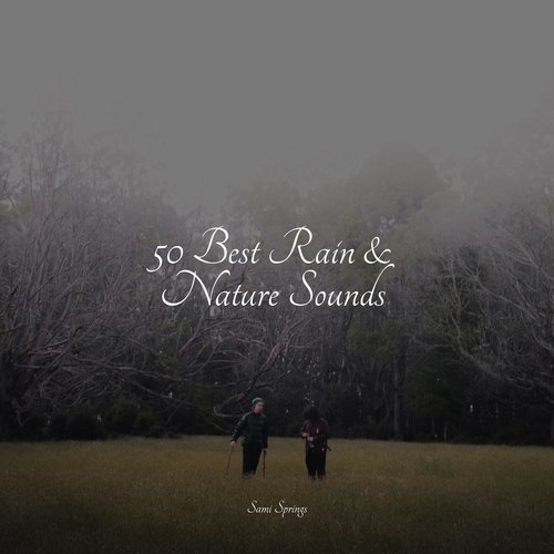 50 Best Rain & Nature Sounds