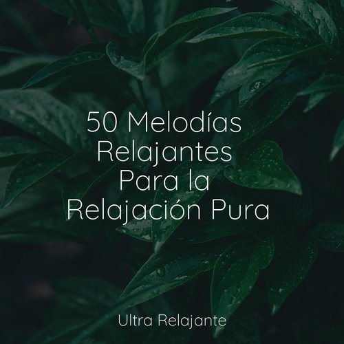 50 Melodías Relajantes Para la Relajación Pura