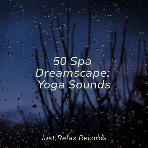 50 Spa Dreamscape: Yoga Sounds_poster_image