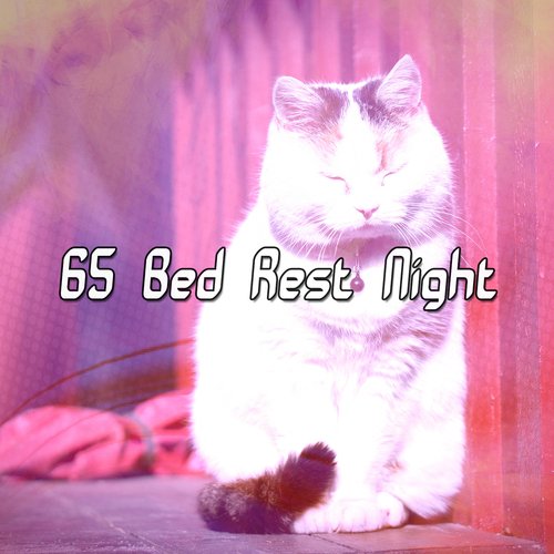 65 Bed Rest Night_poster_image