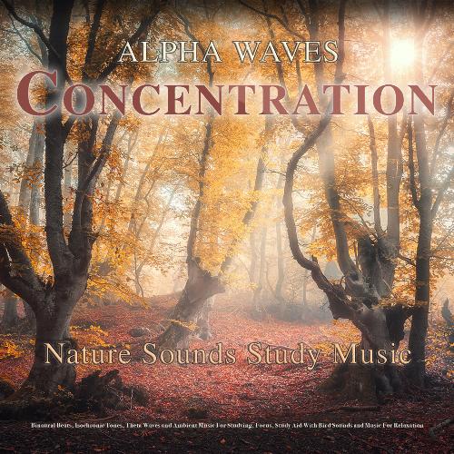 Study Alpha Waves cover art