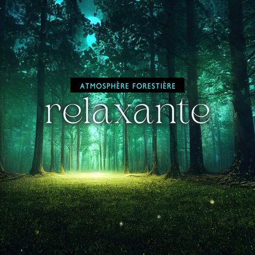 Atmosphère forestière relaxante_poster_image