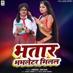 Bhatar Bhabhletar Milal