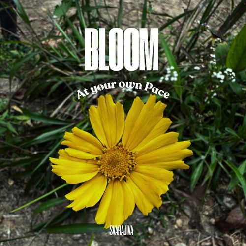 Bloom at Your Own Pace