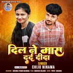 Dil Ne Mara Dard Dida