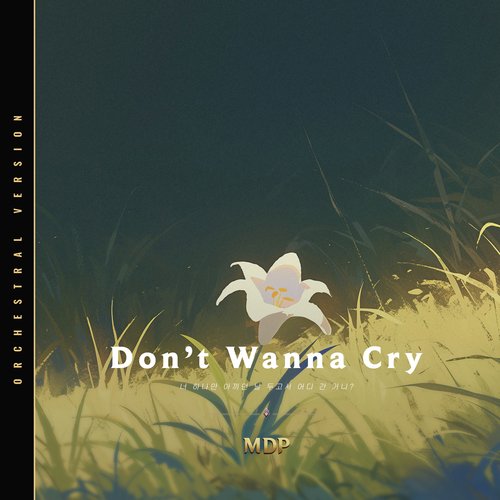 Don't Wanna Cry (Orchestral Version)