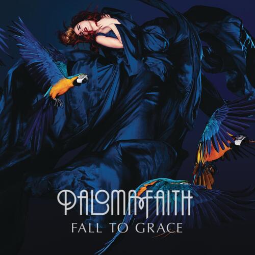 Fall To Grace - Rarities_poster_image