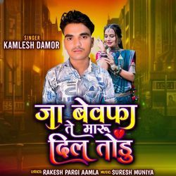 Ja Bevfa Te Maru Dil Todu