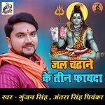 Jal Chadane Ke Teen Fayada