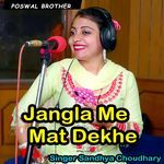 Foji Teri Naar Khadi Teshion Pe