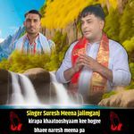 Kirapa Khaatooshyaam Kee Hogee Bhaee Naresh Meena Pa