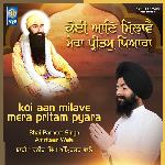 Koi Aan Milave Mera Pritam Pyara
