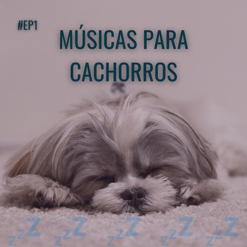 Musica para Acalmar Cachorros cover art