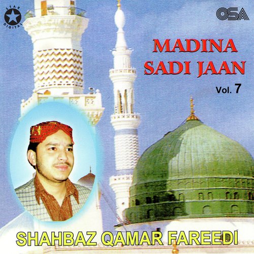 Madina Sadi Jaan, Vol. 7