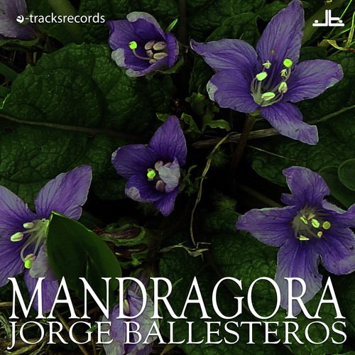Mandragora cover art