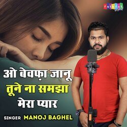 O Bewafa Jaanu Tune Na Samjha Mera Pyar-GBwJVgJ7BEA