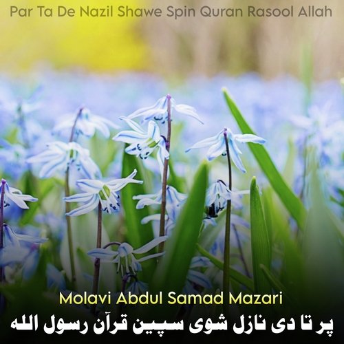 Par Ta De Nazil Shawe Spin Quran Rasool Allah