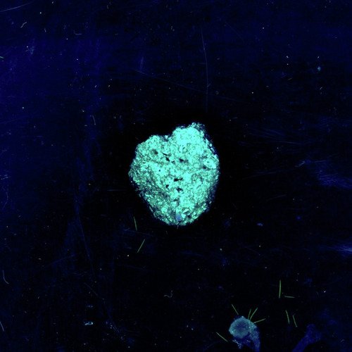 Molinos cover art