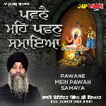 Pawane Mein Pawan Samaya