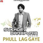 Phull Lag Gaye