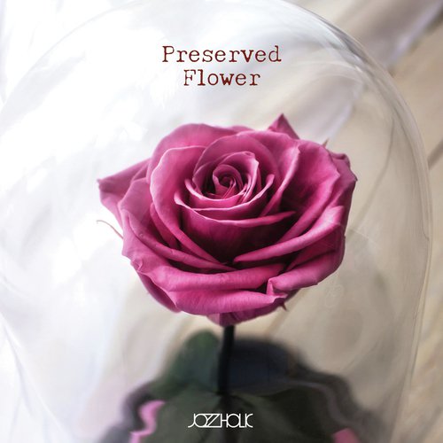 Winter Blossom cover art