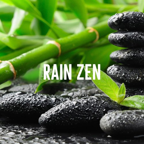 Rain Wonder cover art