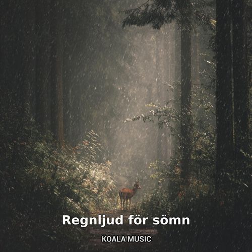 Regnljud för sömn