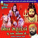 Shiv Mahadev Shu Kam Kahevay Chhe Shiv Puran