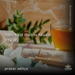 Spiritual Detox Music 528 Hz