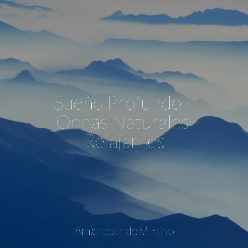 Relajación Melódica cover art