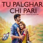 Tu Palghar Chi Pari