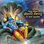 Vishnu Bhajan-Shrihari Vishnu Hain Margpradarshak