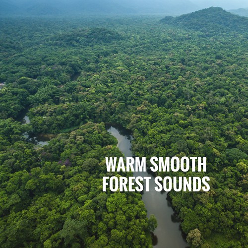 Warm Smooth Forest Sounds