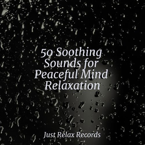 50 Soothing Sounds for Peaceful Mind Relaxation