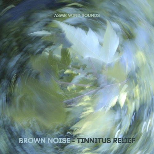 Nature Noise – Winds cover art