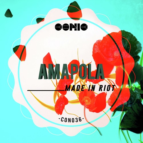 Amapola